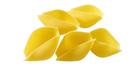 Jumbo pasta shell