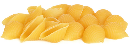 Uncooked pasta shells