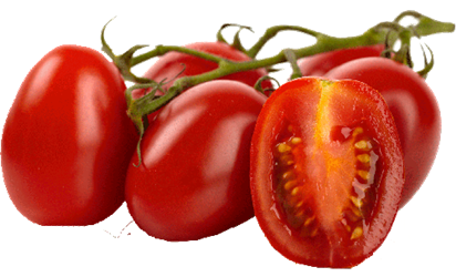 vine ripened tomatoes