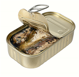 Sardines