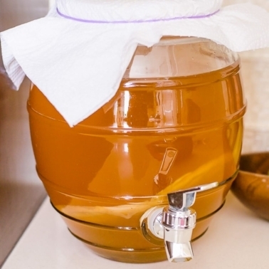 How to make kombucha tea