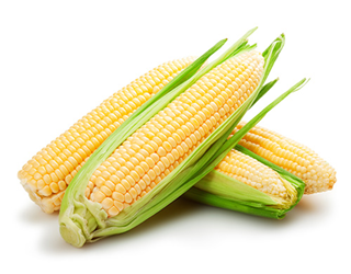 corn on the cob