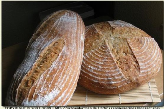 Vermont Spelt Sourdough