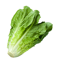 Or 3 small romaine hearts