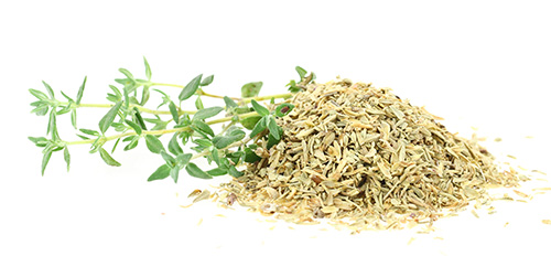 Lemon thyme