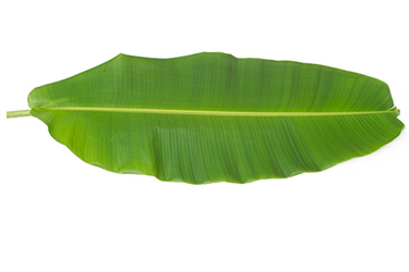 banana leaves