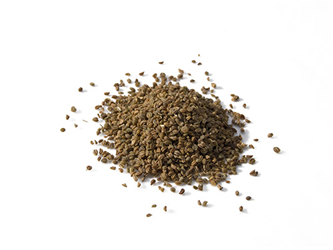 celery seed