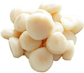 Canned Water Chestnuts