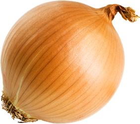 yellow onion