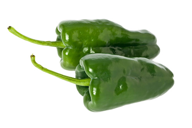 poblano pepper