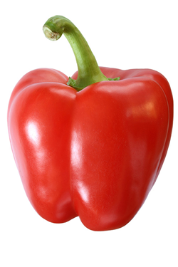 red pepper