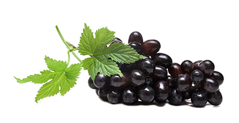 Red or black grapes