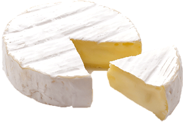 Camembert