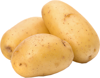 Medium white potatoes
