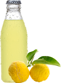 Yuzu kosho