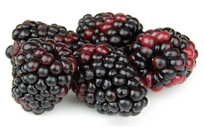 Fresh blackberries or boysenberries