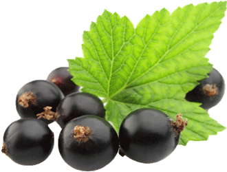 black currants