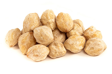 Candlenuts