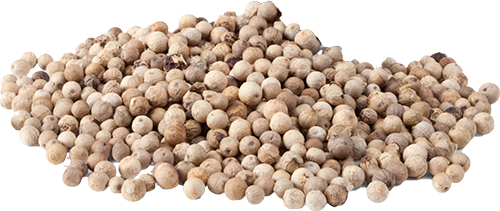 White peppercorns
