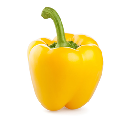 bell pepper