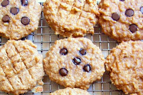 Watching What I Eat: Peanut Butter Banana Oat Breakfast Cookies with Carob / Chocolate Chips