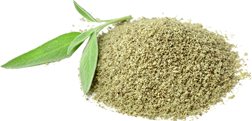 Dried sage