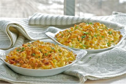 Macaroni and Cheese Gratin