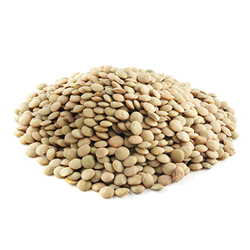 Legumes