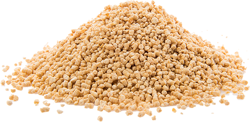 Lecithin