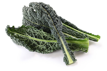 Lacinato kale