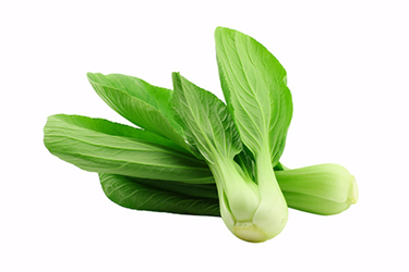 bok choy