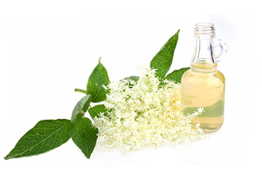 Elderflower liqueur