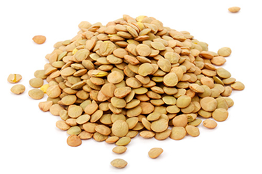 Waitrose & partners dried lentils