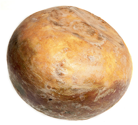 rutabaga