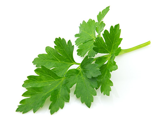 Parsley