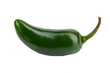 Jalapeno Pepper