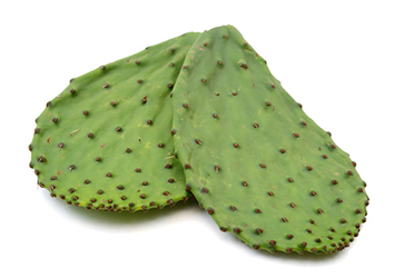 Nopales