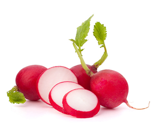 Radish