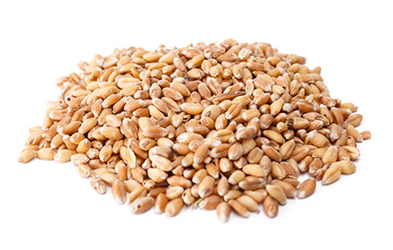 Waitrose love life barley, wheatberries, spelt & rice