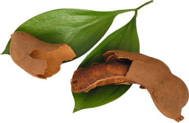 Tamarind concentrate