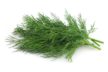 dried dill