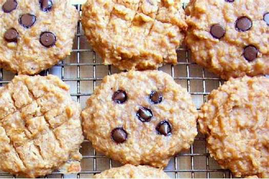 Watching What I Eat: Peanut Butter Banana Oat Breakfast Cookies with Carob / Chocolate Chips