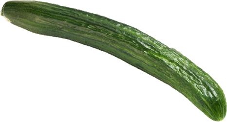 English Cucumber