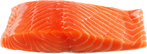 salmon