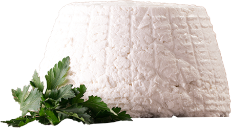 ricotta cheese