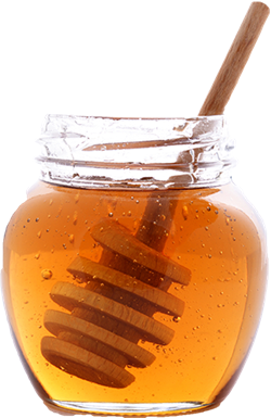 Ontario liquid honey