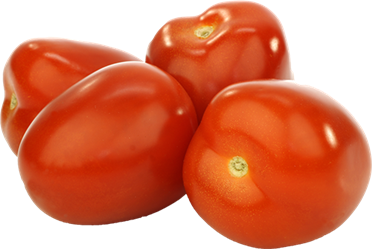 Plum Tomato