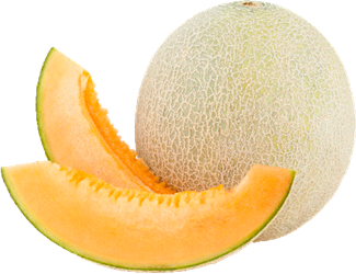 Cantaloupe melon