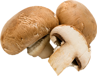 canned mushrooms