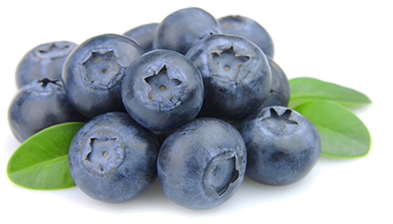 wild blueberries